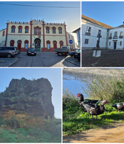 Setúbal – mais calcário com história e alguns flamingos