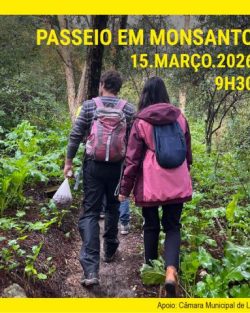 Passeio em Monsanto