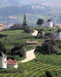 Moinhos da Aba Sul do Montejunto